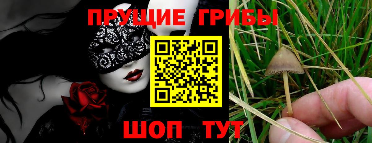 Галлюциногенные грибы Magic Shrooms Саянск
